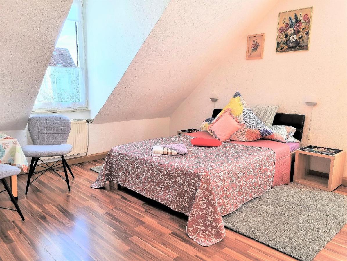 Apartment Bayreuth, Grosse Ferienwohnung Im Haus Mit Kunst, 3 Schlafzimmer, Kueche, Parkplatz Екстериор снимка