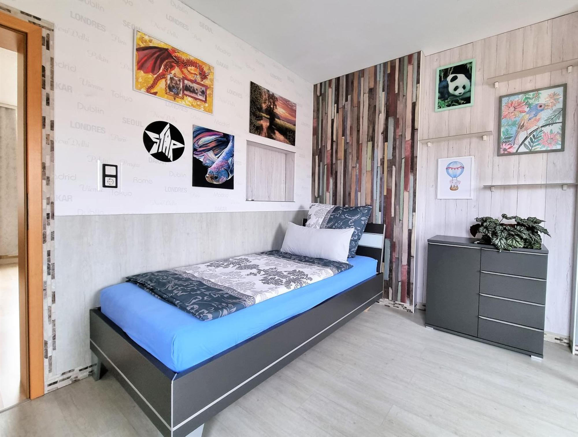 Apartment Bayreuth, Grosse Ferienwohnung Im Haus Mit Kunst, 3 Schlafzimmer, Kueche, Parkplatz Екстериор снимка